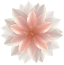 Logo Flower